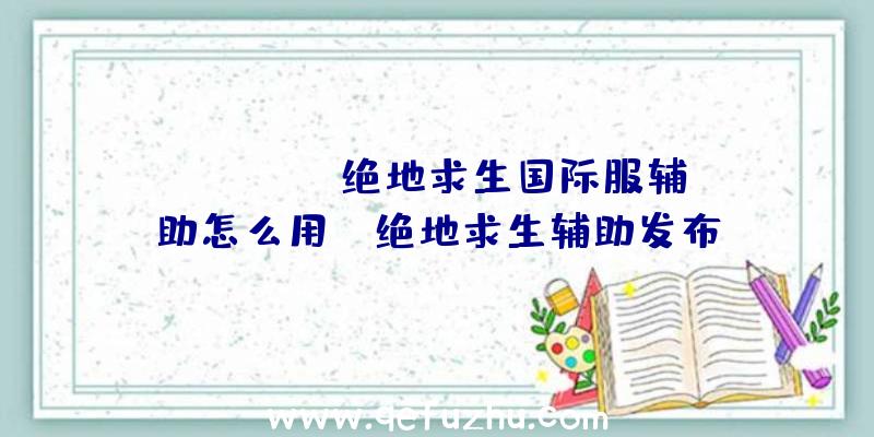 「j-beat绝地求生国际服辅助怎么用」|绝地求生辅助发布
